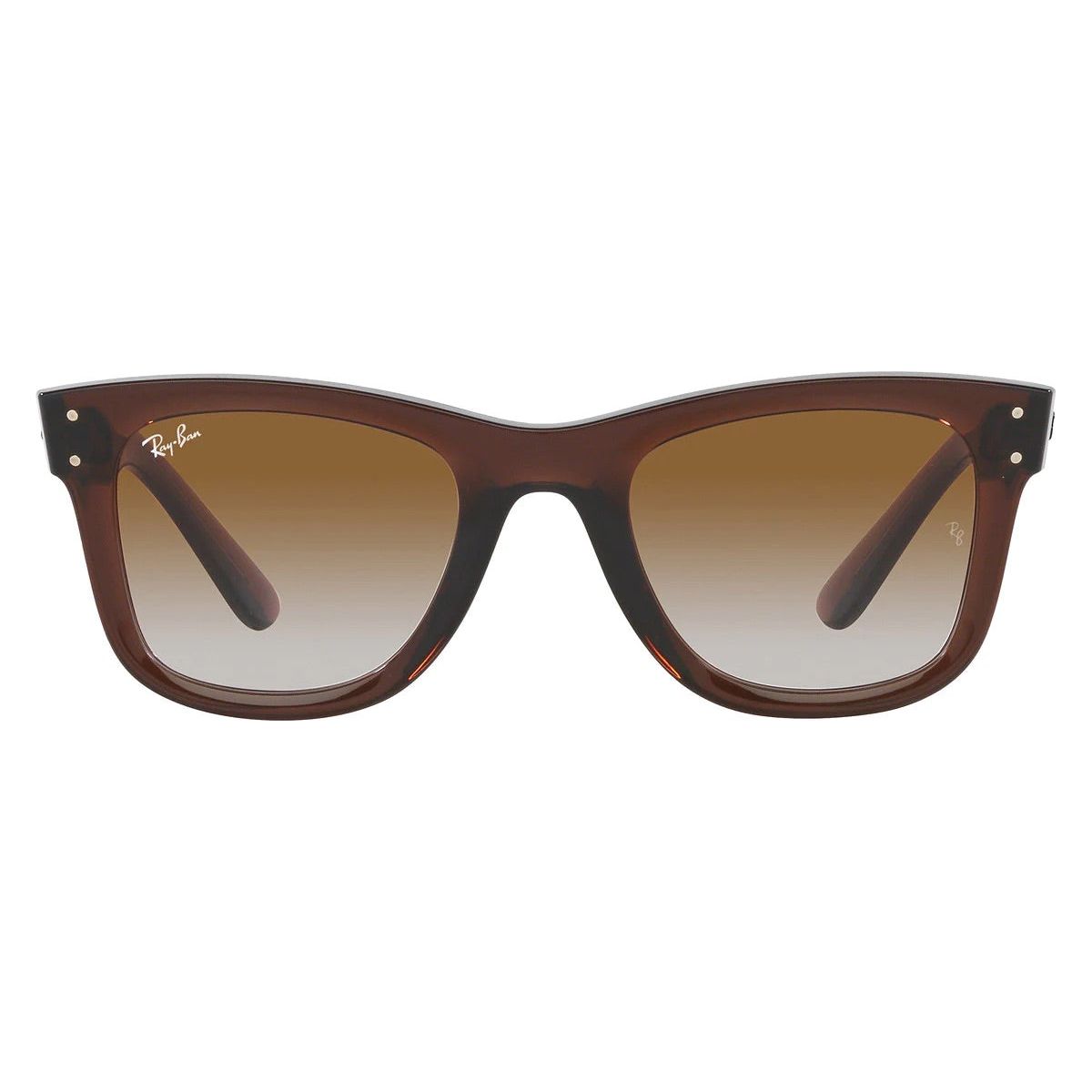 RB0502S - Wayfarer Reverse