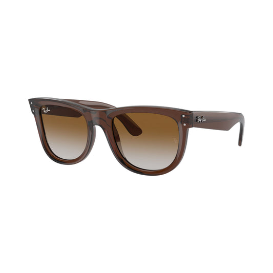 RB0502S - Wayfarer Reverse